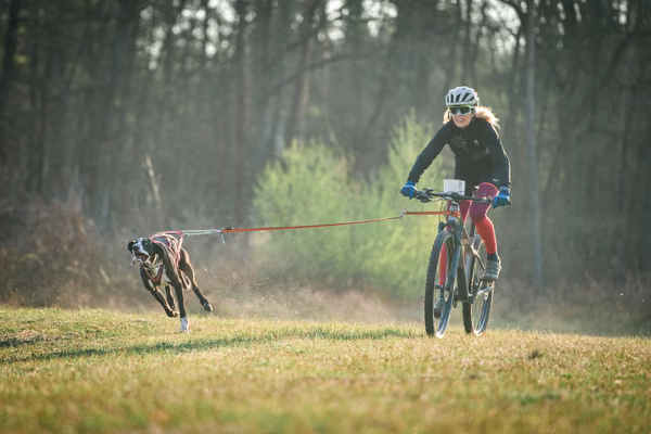 Libová jízda - Sobota — LJS26-0003