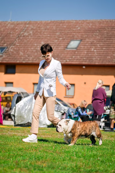 Krajská výstava psů Němčice u Kolína — VNEM26-081