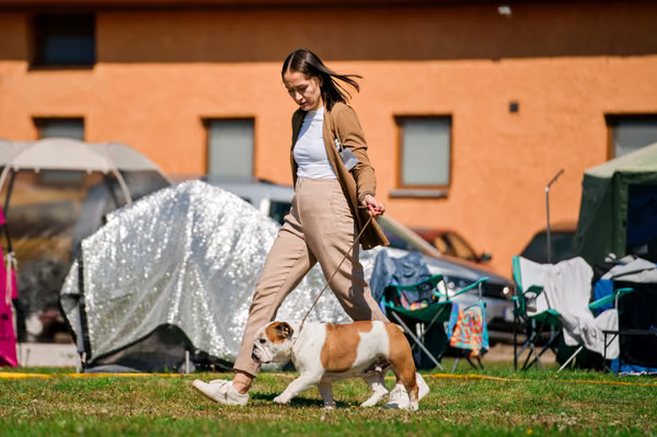 Krajská výstava psů Němčice u Kolína — VNEM26-084