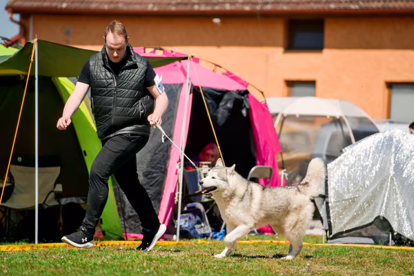 Krajská výstava psů Němčice u Kolína — VNEM26-109