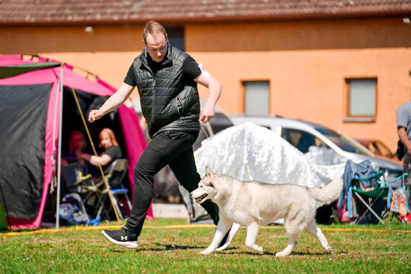 Krajská výstava psů Němčice u Kolína — VNEM26-119