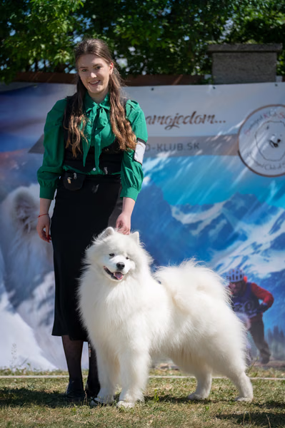 Samojed klub SK — DSC05053