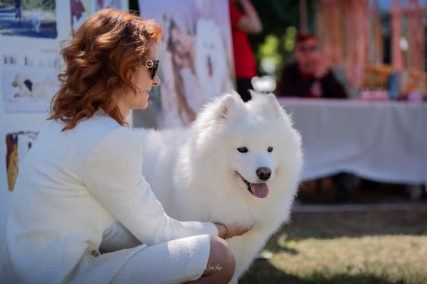Samojed klub SK — DSC01878