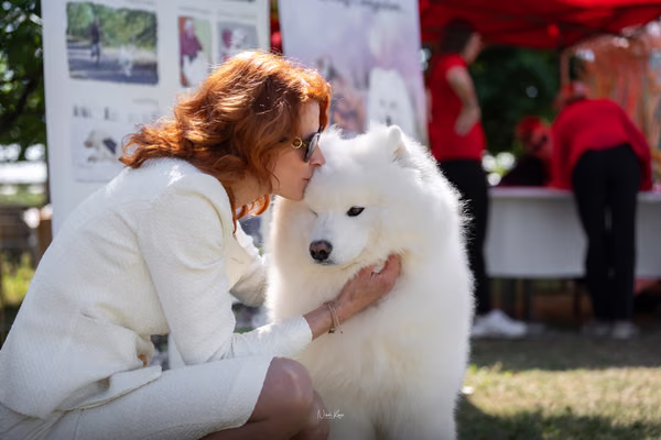 Samojed klub SK — DSC01879