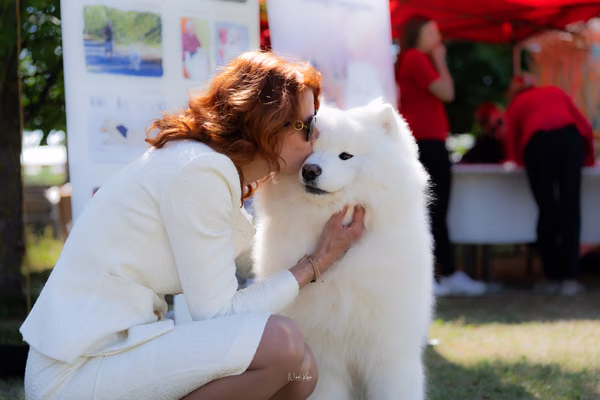 Samojed klub SK — DSC01881