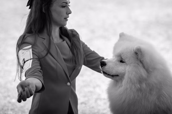 Samojed klub SK — DSC01704