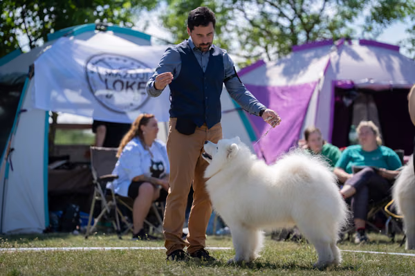 Samojed klub SK — DSC02649