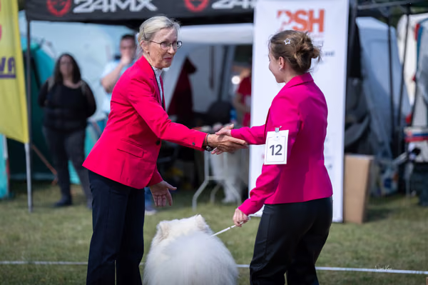 Samojed klub SK — DSC02628